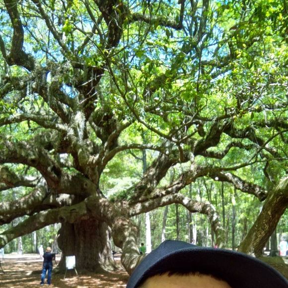 Meet your Posher, Nicholas - Picture 1 of 1